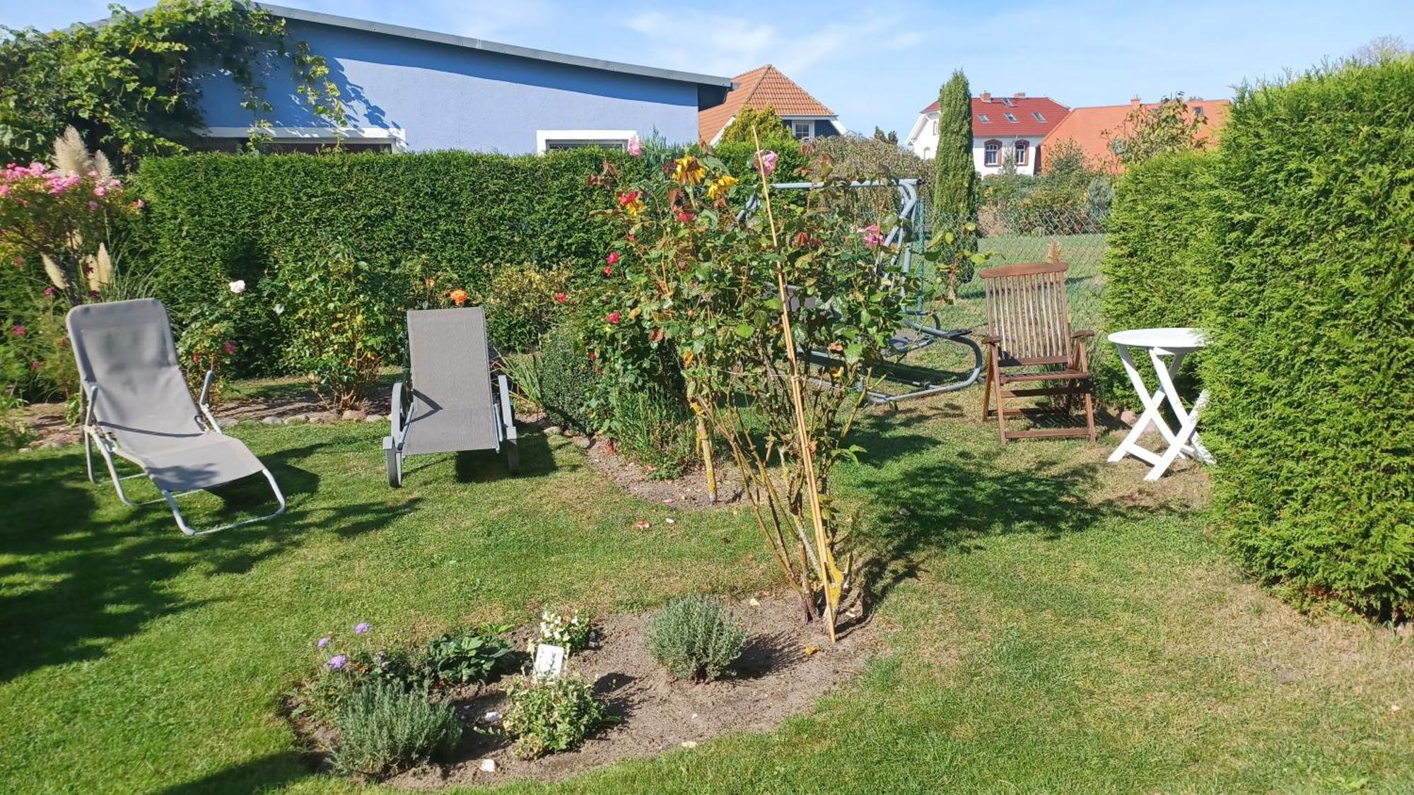 Ferienwohnung Leitzsch Wustrow  Exteriör bild
